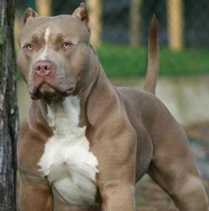 Meet your Posher, Kaleb